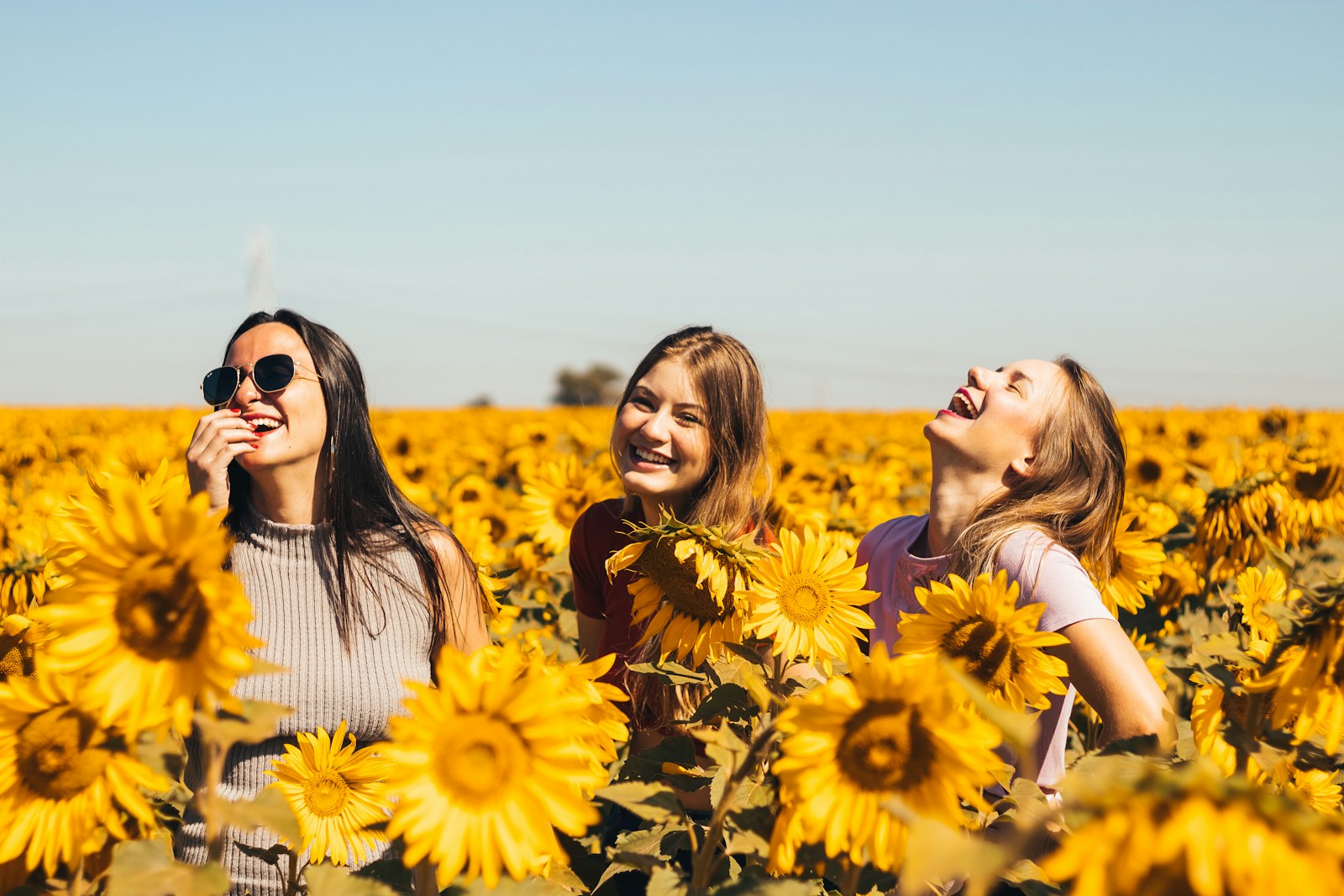 Weltfrauentag Sonnenblumen