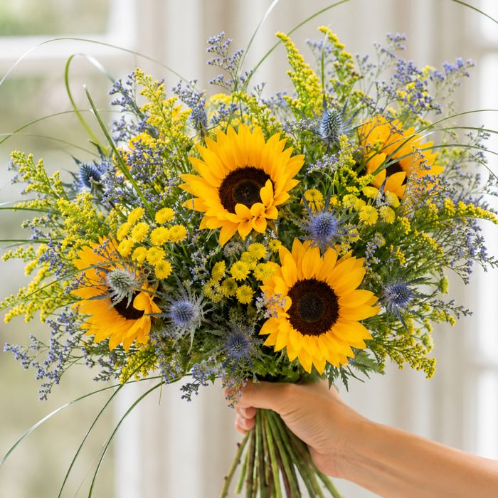 Sommerliche Blumenwiese