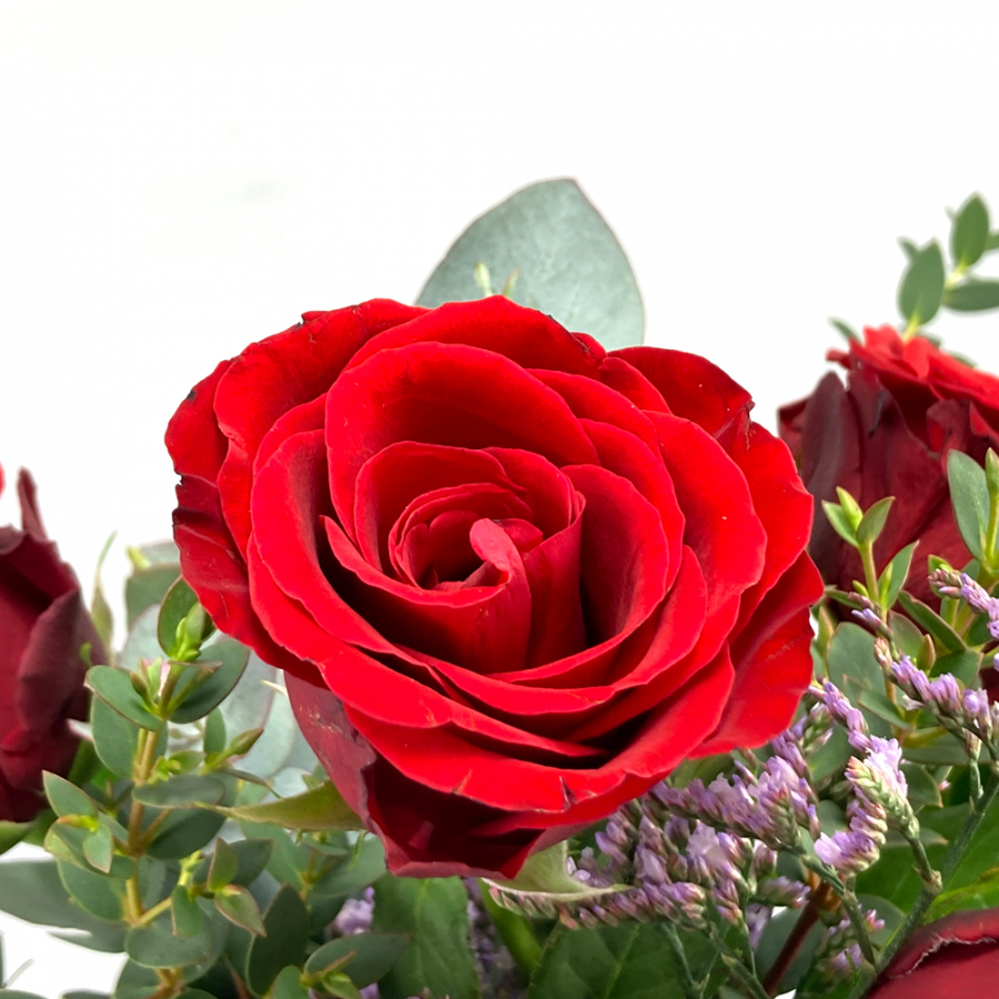 Rote Rose Valentinstag